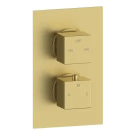 Vasca Cosmo Thermostatic Two Outlet Twin Shower Valve - Brushed Brass