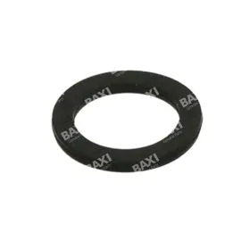 Andrews E845 Main Gas Valve O Ring