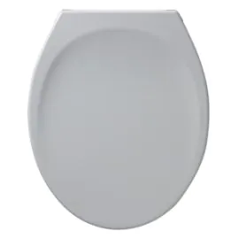 Armitage Shanks Astra Toilet Seat and Cover White (S405001)
